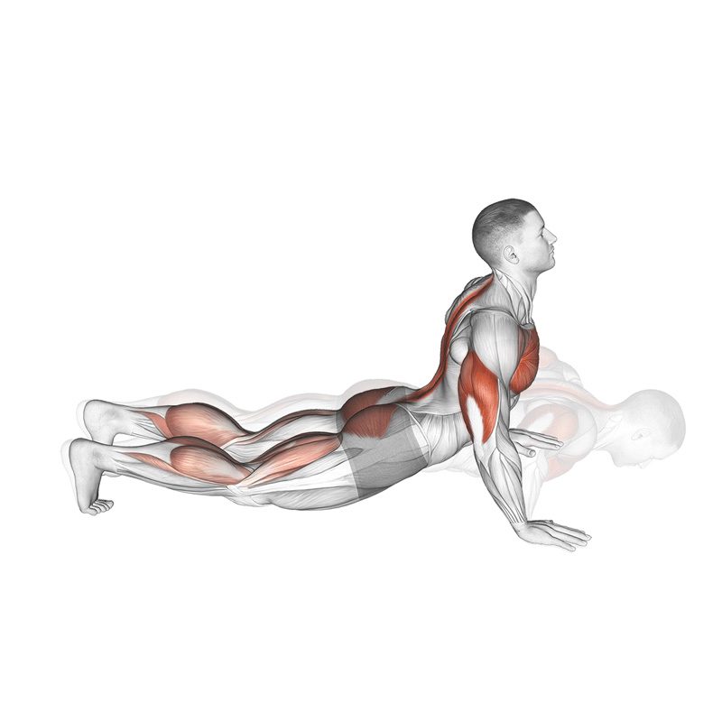 Homme effectuant des pompes dive bomber au poids de corps
