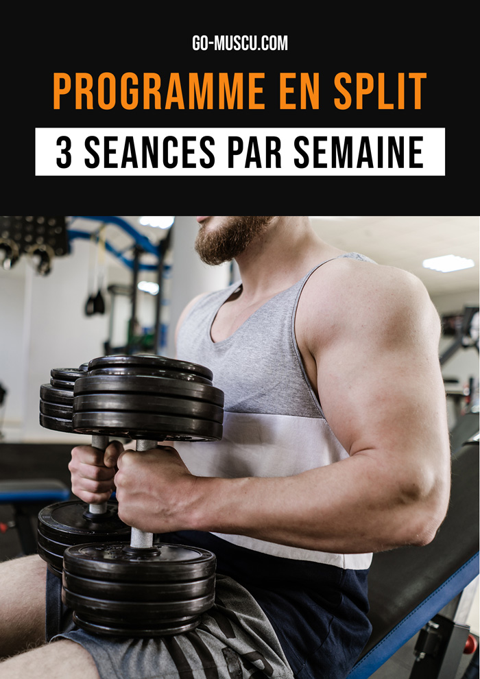 Programme de musculation gratuit en Split avec 3 séances par semaine à télécharger